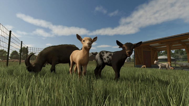Review Farming Simulator 26 Switch: Simulasi Tani Portabel Satset 2026 2 image 34